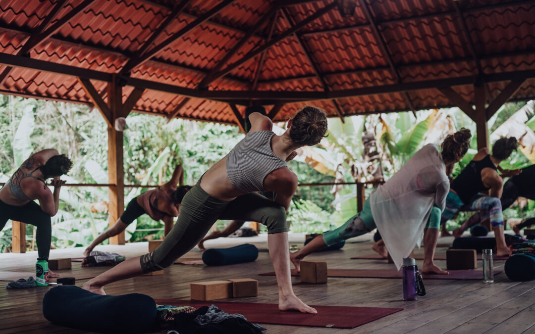 250 Hour Foundational Yoga Teacher Training *SOLD OUT: WAITLIST ONLY*