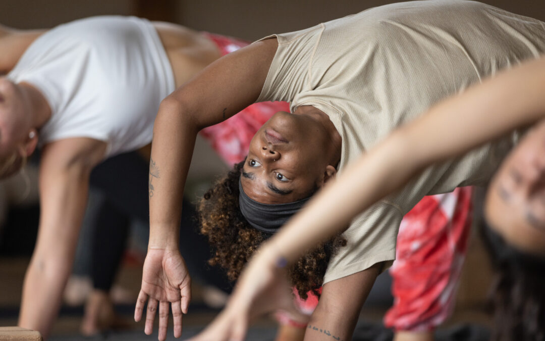 250 Hour Yoga Alliance Foundational Level Yoga Teacher Training with Avani Gilbert (Yoga Alliance)